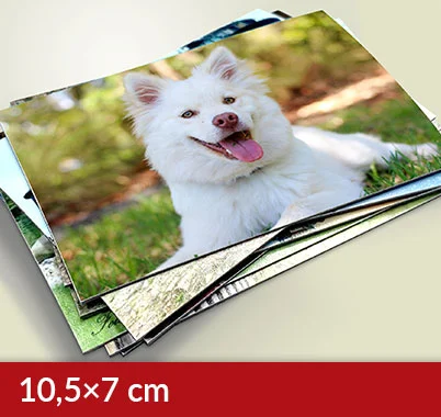 Imanes rectangulares de 10,5×7 cm